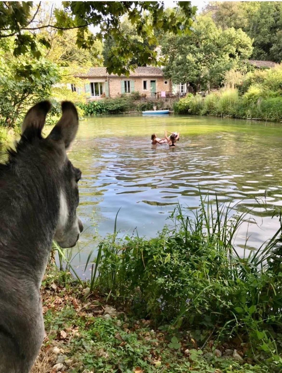 Le Moulin Haut Gites Villeneuvette Eksteriør bilde